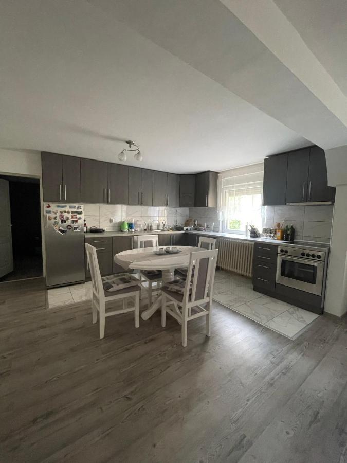 Antic Apartment Pozarevac Ngoại thất bức ảnh
