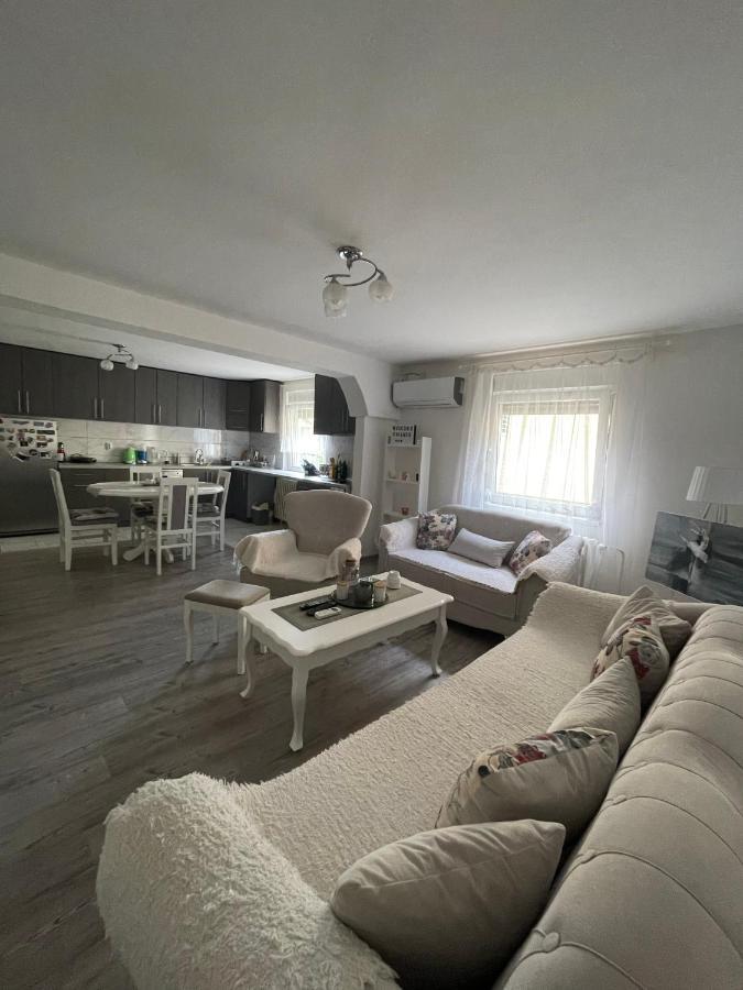 Antic Apartment Pozarevac Ngoại thất bức ảnh