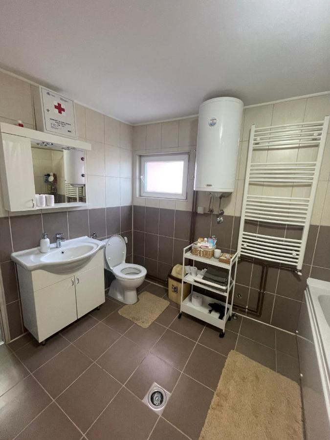 Antic Apartment Pozarevac Ngoại thất bức ảnh